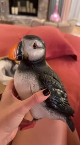 «Дикий люкс, Филя!»: Собчак показала необычный подарок от Киркорова на годовщину свадьбы с Богомоловым