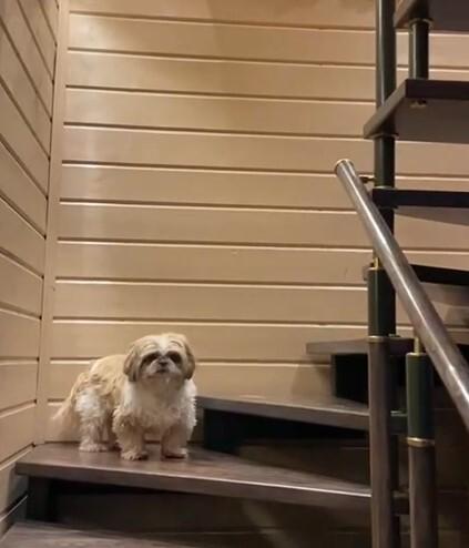 Телеведущая Роза Сябитова рассказала об опасности, которая может произойти с ее внучкой