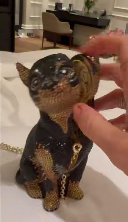 «Произвела фурор»: Яна Рудковская похвасталась сумкой в виде умершей собаки