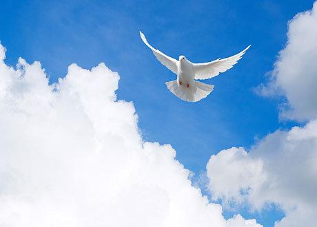 10 гаданий «Да или Нет»