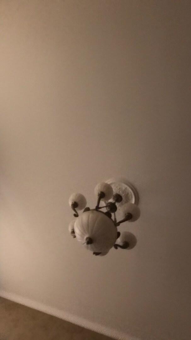 Сторис Эммануила Виторгана