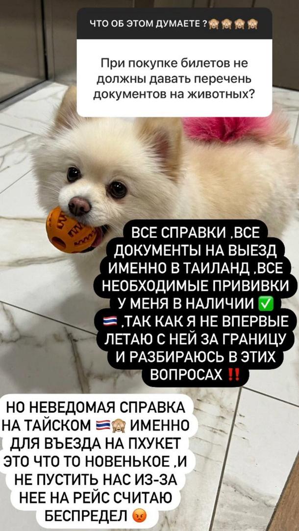 «Плакала и вставала на колени»: Борисова дошла до унижений и все равно не получила желаемого
