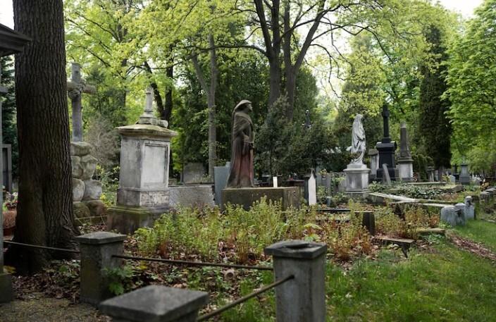 На одном из столичных кладбищ найдена проклятая могила