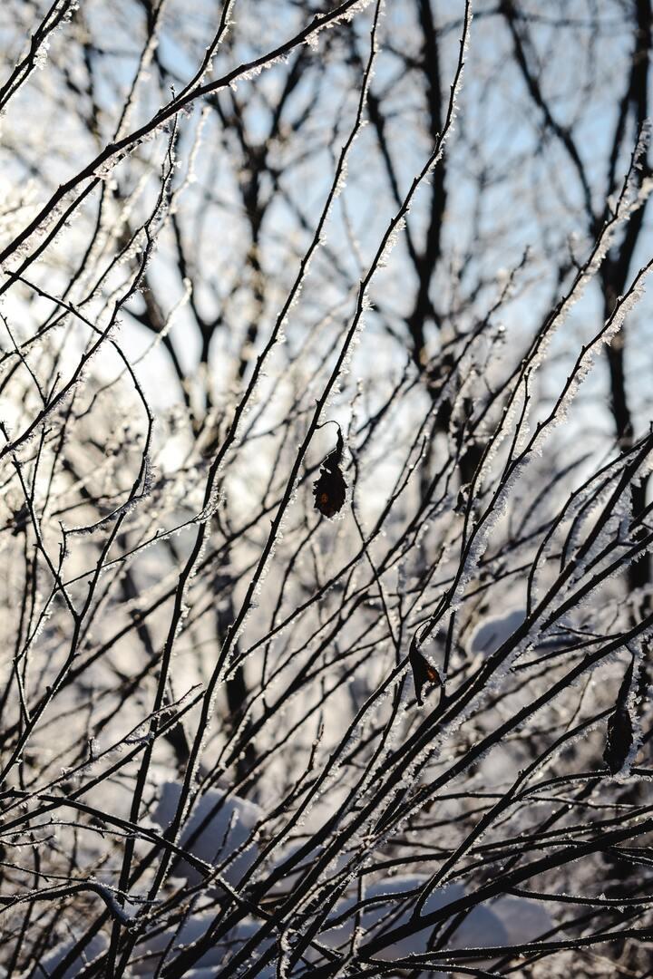 Терапевт рассказала, как правильно подготовиться к купанию в проруби на Крещение