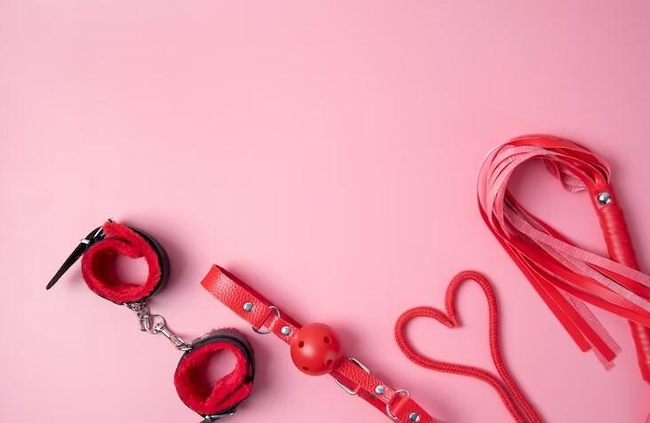 В Петербурге женщина вынуждена уничтожить свои секс-игрушки из-за требования суда