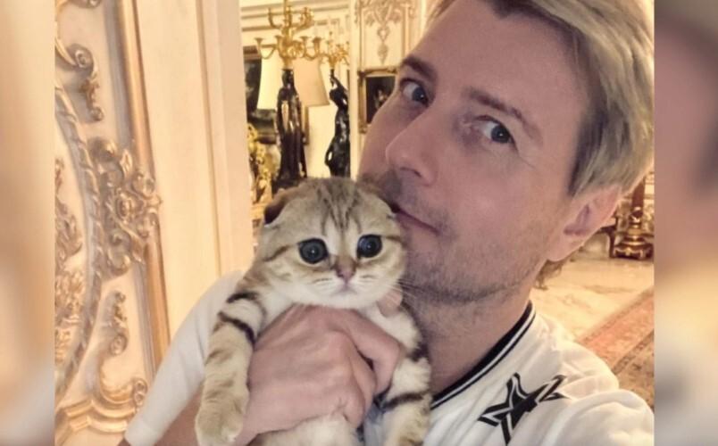 Шотландская красавица оттеснила всех претенденток на сердце Баскова