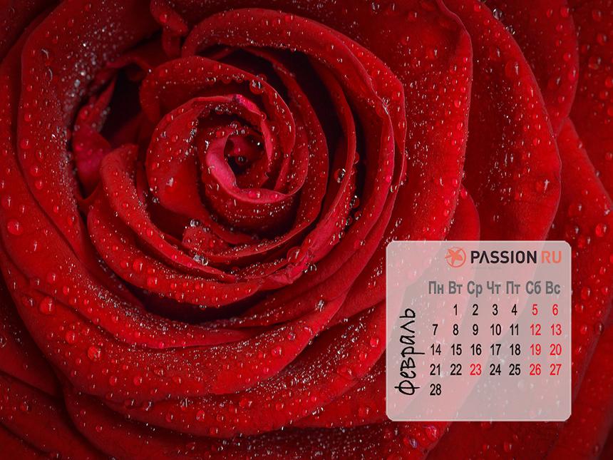 Обои для рабочего стола от Passion.ru: февраль 2022