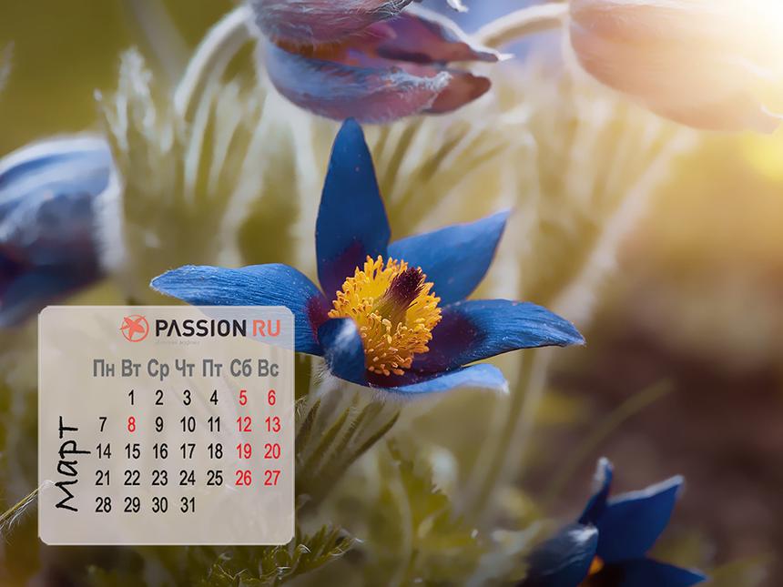 Обои для рабочего стола от Passion.ru: март 2022