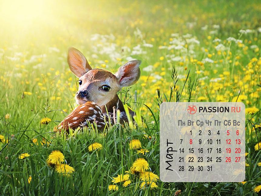 Обои для рабочего стола от Passion.ru: март 2022