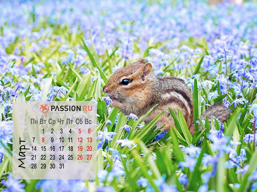 Обои для рабочего стола от Passion.ru: март 2022