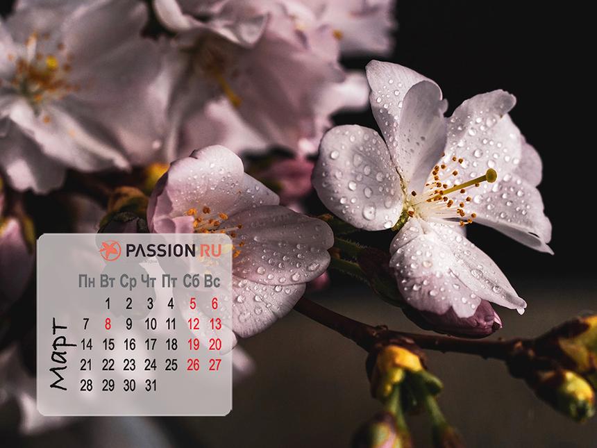 Обои для рабочего стола от Passion.ru: март 2022