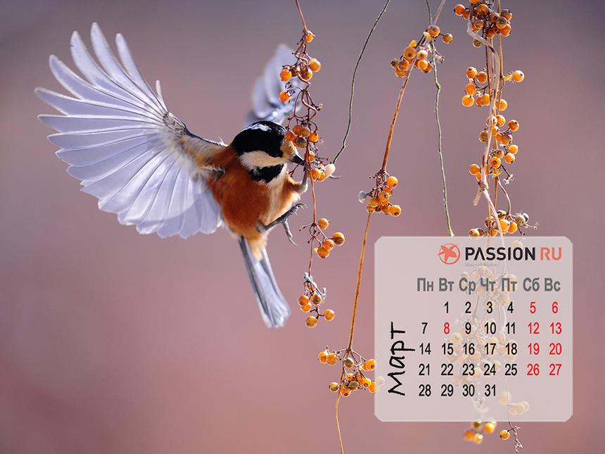 Обои для рабочего стола от Passion.ru: март 2022
