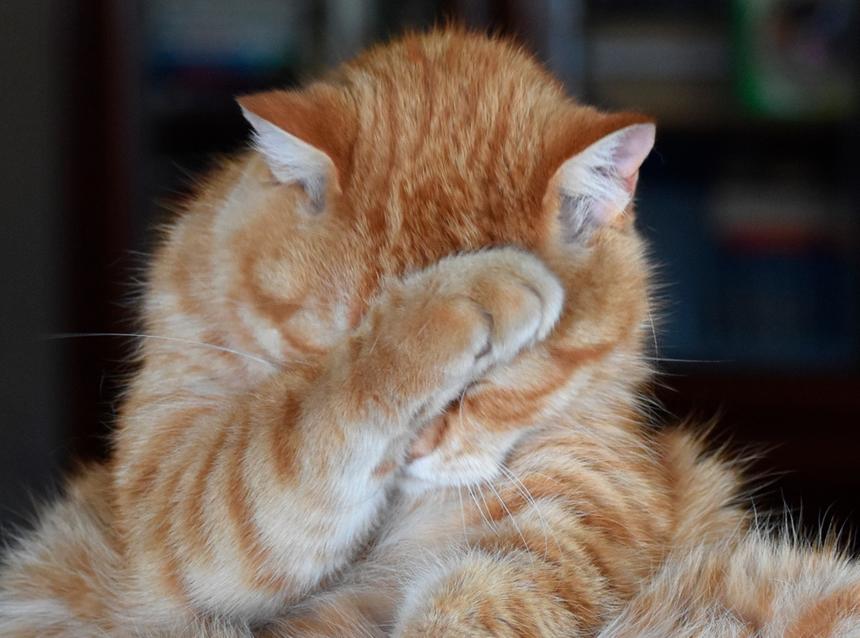 Быть русским не стыдно: когда закончится игра на чувстве вины и страха – колонка Марии Самариной