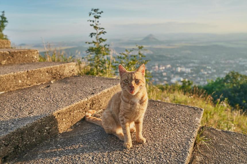 Не хуже заморских вариантов: 5 идей для отдыха в России