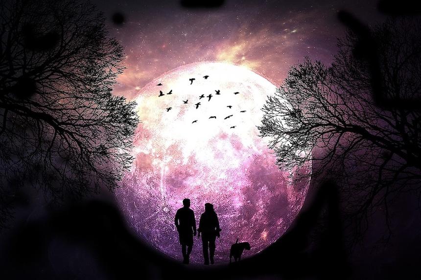 Гороскоп любви: какие испытания ожидают знаки зодиака с 26 июня по 2 июля 2022-го