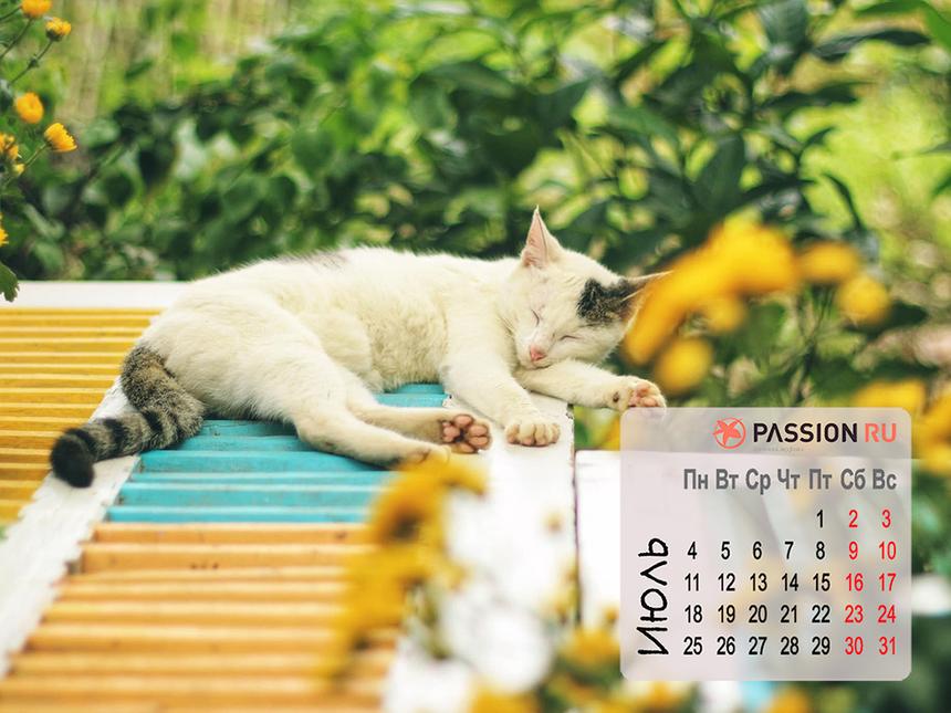 Обои для рабочего стола от Passion.ru: июль 2022 года