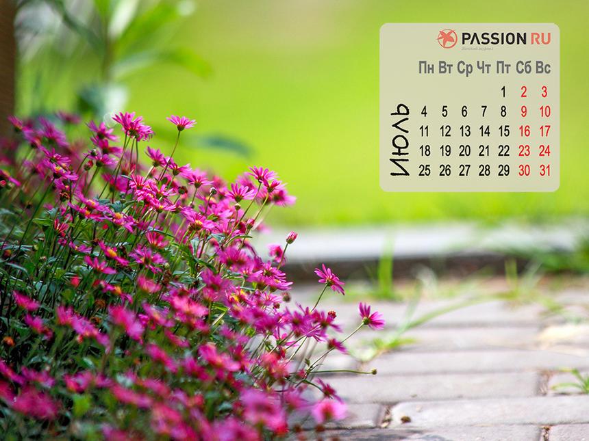 Обои для рабочего стола от Passion.ru: июль 2022 года