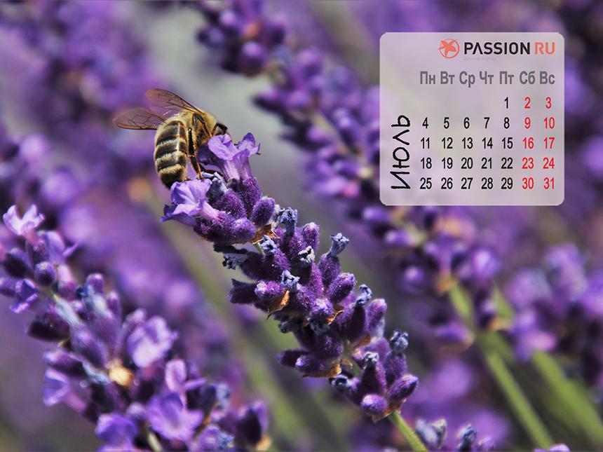 Обои для рабочего стола от Passion.ru: июль 2022 года