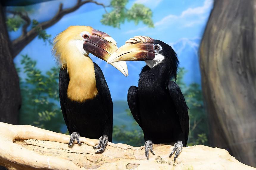 События августа: Боярская на сцене МТЮЗа, шедевр Кончаловского в кино и другие яркие мероприятия