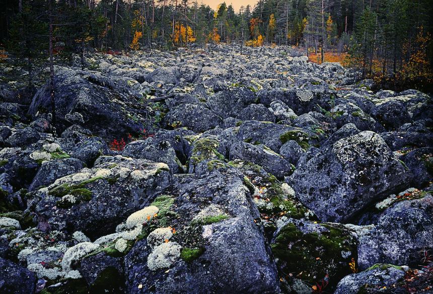 Самат Гильметдинов, «Каменная река»