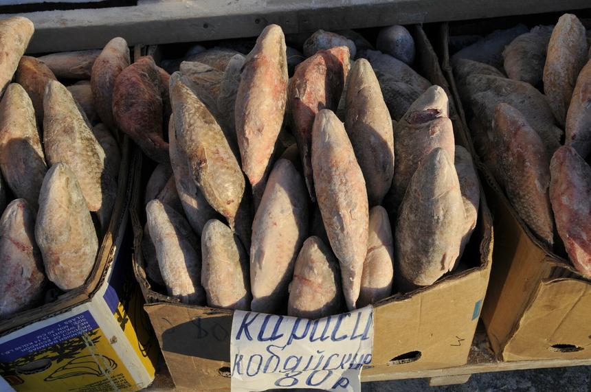 Рецепты царской России. Борщ из карасей