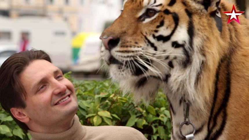 ШОК: На Эдгара Запашного напал тигр