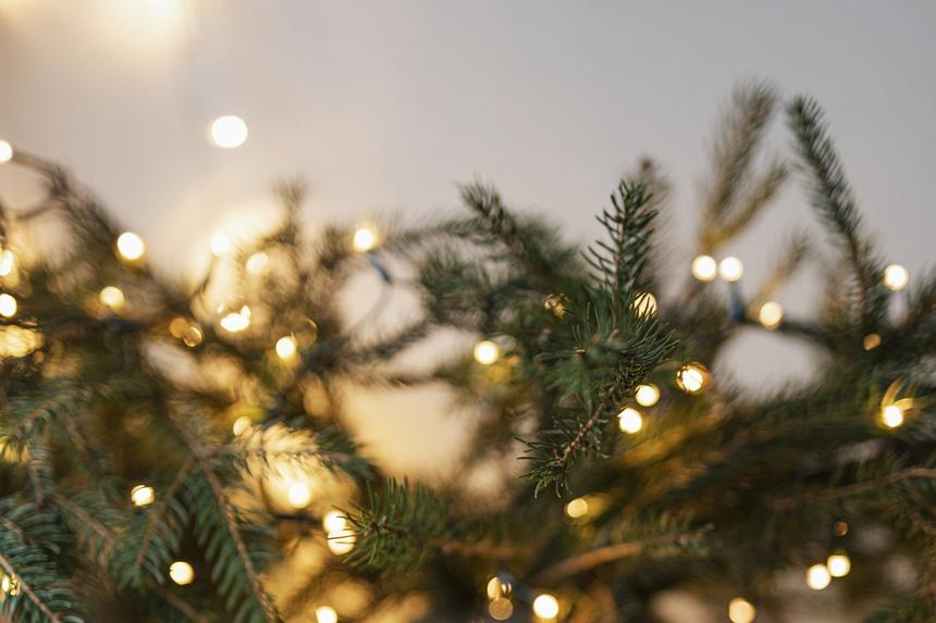 Быть или не быть: судьба новогодних мероприятий зависит от решения москвичей!