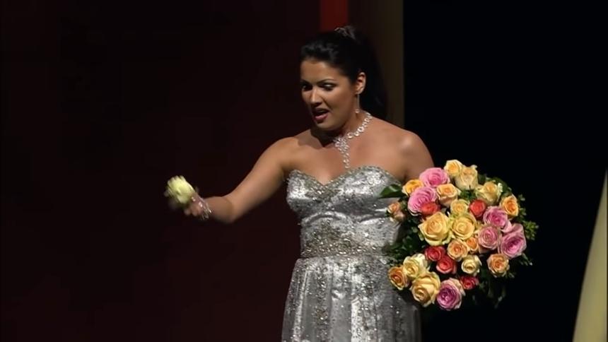 Появились четыре версии, по которым супруг Анны Нетребко поставил смайлик на физиономию Баскова