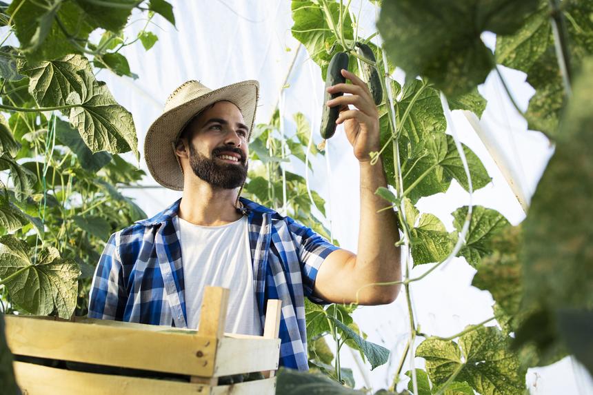 Москвич делал массаж простаты огурцом, а после не смог его вытащить