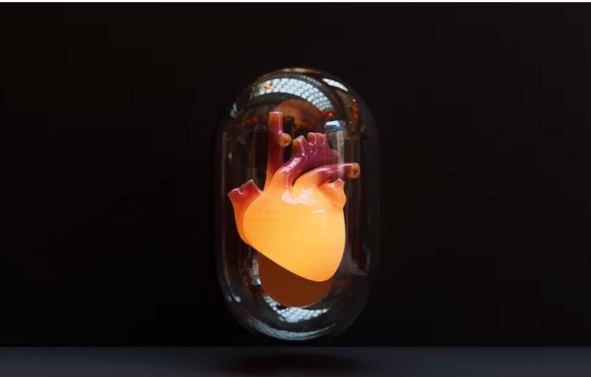 В центре Москвы неизвестные выкинули в снег свежее сердце