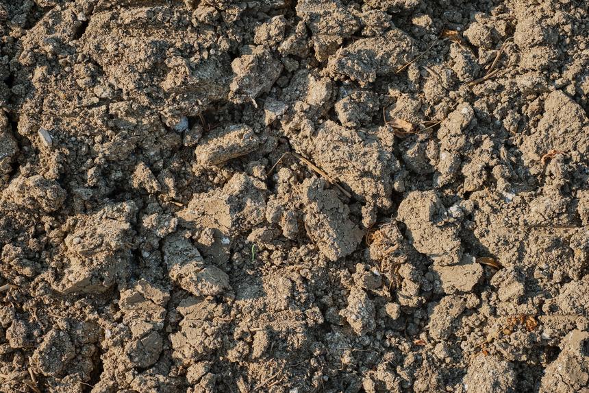 В Минске госпитализировали двух школьниц, застрявших по пояс в грязи во время прогулки