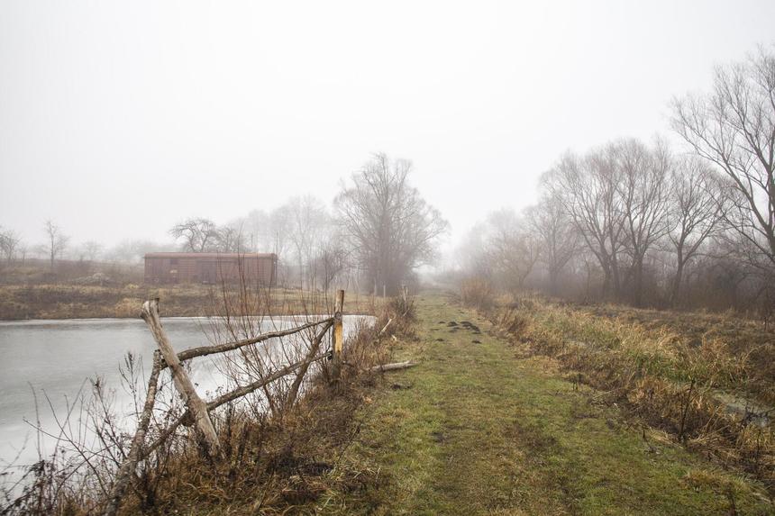 В Дмитрове соседи спасли упавшего в ручей пенсионера и обнаружили в его доме труп жены