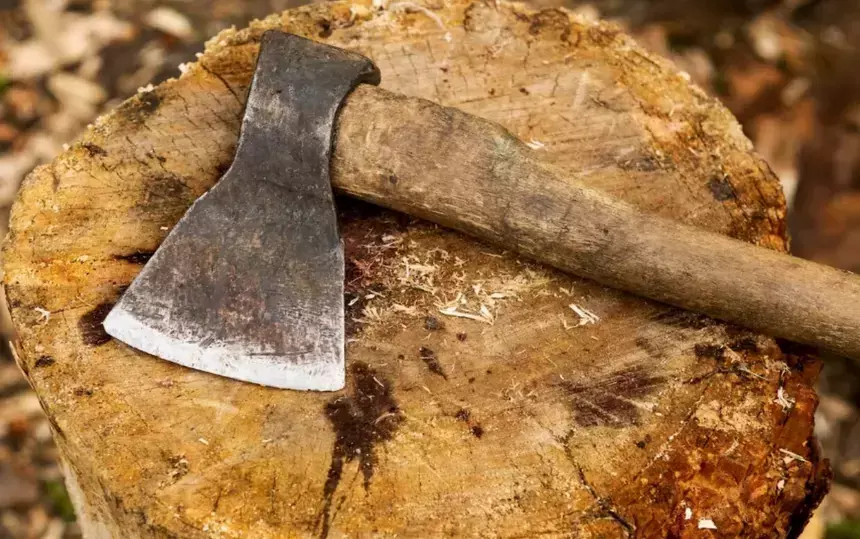 В Волгограде подросток ударил соседку топором после просьбы сделать музыку потише