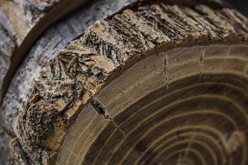 «Знаю, как свои четыре пальца»: мебельщик лишился конечности, но не упал духом