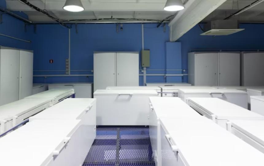 Мертвый отец пролежал в морозилке сына 18 месяцев