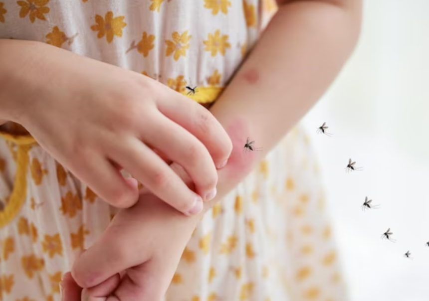 От укуса комара в теле жительницы Омска вырос 15-сантиметровый гельминт