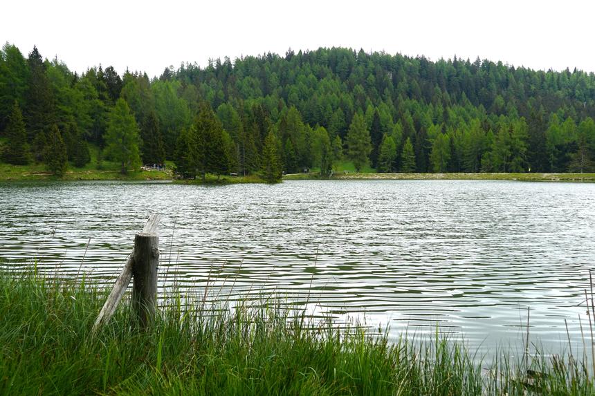В Ленобласти семиклассник выпил неизвестный алкоголь, получил удар по печени и утонул