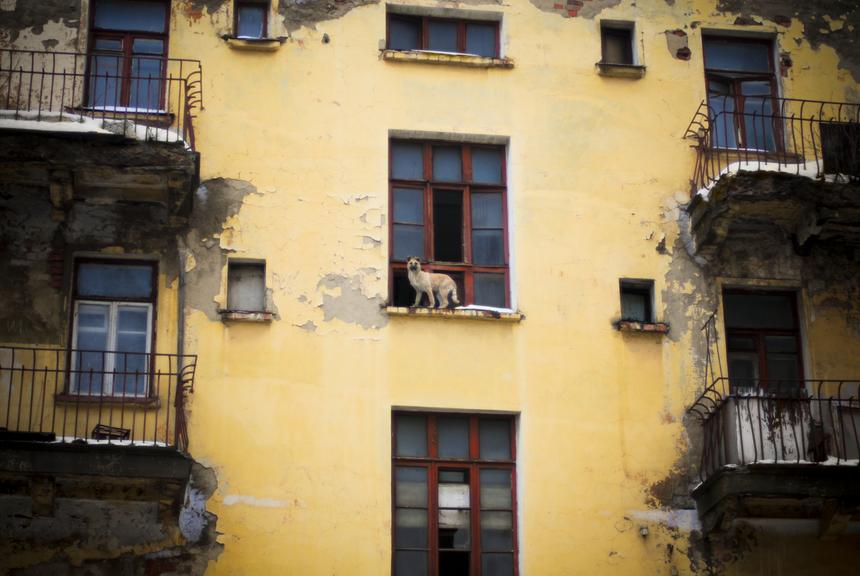 Россиянин зарезал сожительницу и мать, а потом ударил ножом свидетеля убийства