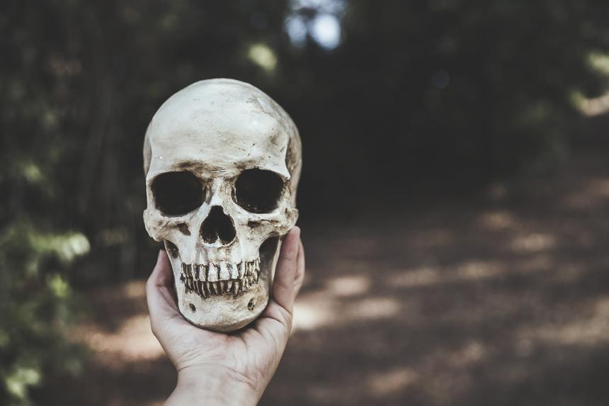 Кости, череп и пустую бутылку из-под водки нашли у вертолетной площадки в Петербурге