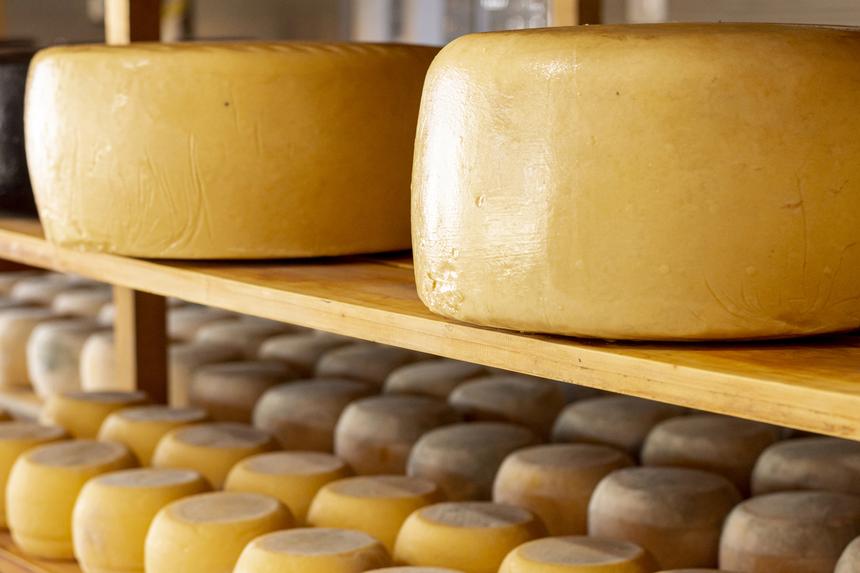 Итальянского бизнесмена насмерть завалило тысячами головок сыра грана падано