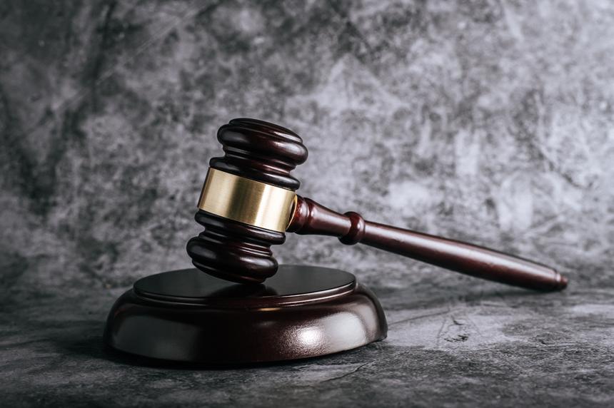 Шарлот признал вину в реабилитации нацизма и оскорблении чувств верующих