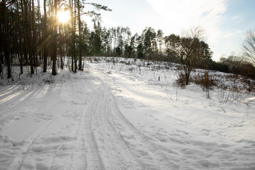 Во Владимире парень три дня пролежал в заснеженном лесу и выжил