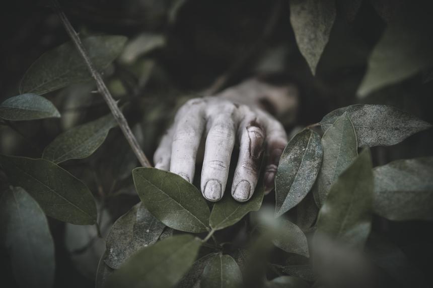 Установлена личность девушки, чье полураздетое тело с выколотыми глазами нашли в подмосковном лесу