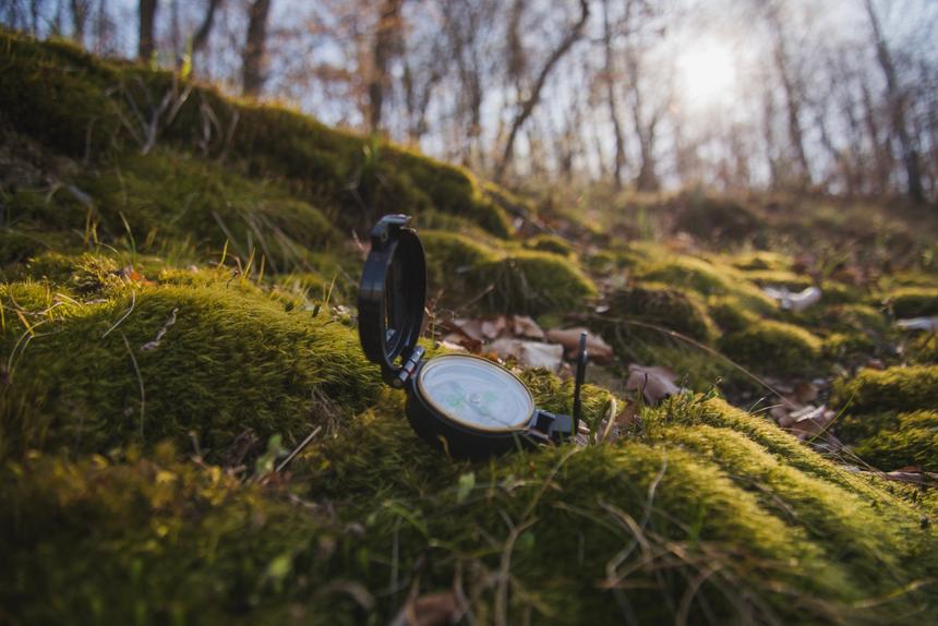 В Свердловской области волонтеры прекратили поиски двух пропавших девочек