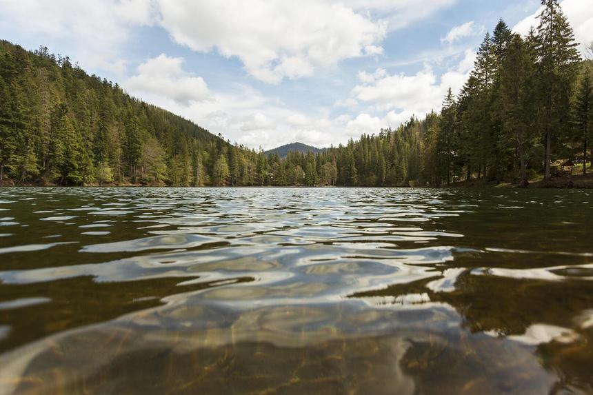 В Индии умер ребенок, которого родители лечили от рака погружением в реку