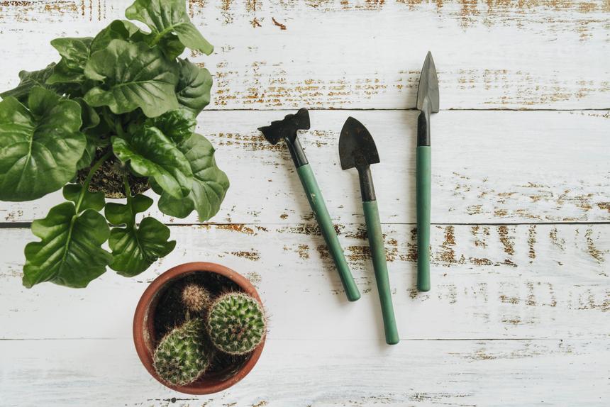 Затаил обиду и заточил садовый мастерок: молодой человек отрубил кисть возлюбленной, собравшейся замуж за другого