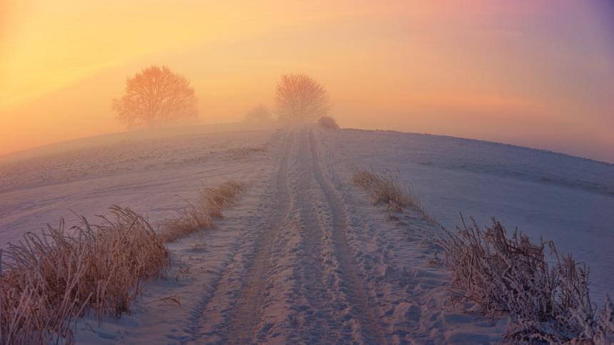 Сибирские морозы убили раздетого бродягу, которого собутыльники выгнали из тамбура