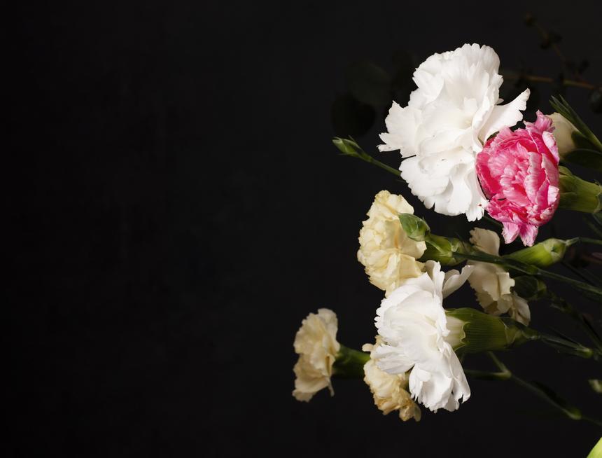 Ведущая шоу «Большая игра» умерла в возрасте 81 года