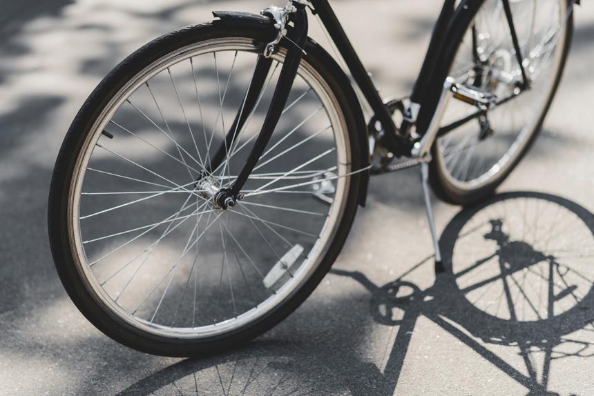 В Москве шпица намотало на велосипедное колесо во время прогулки