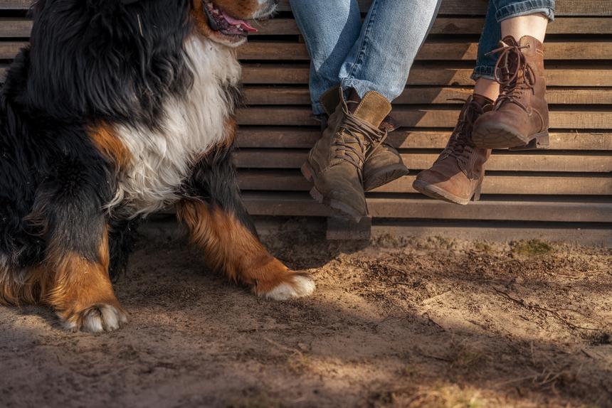 Хладнокровно расправился с питомцем двумя выстрелами: сосед расстрелял собаку тревел-блогерши